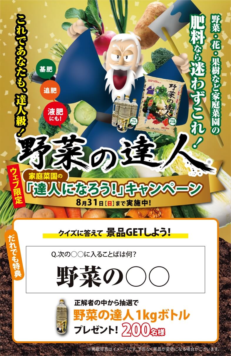 クイズに答えて景品GETしよう！